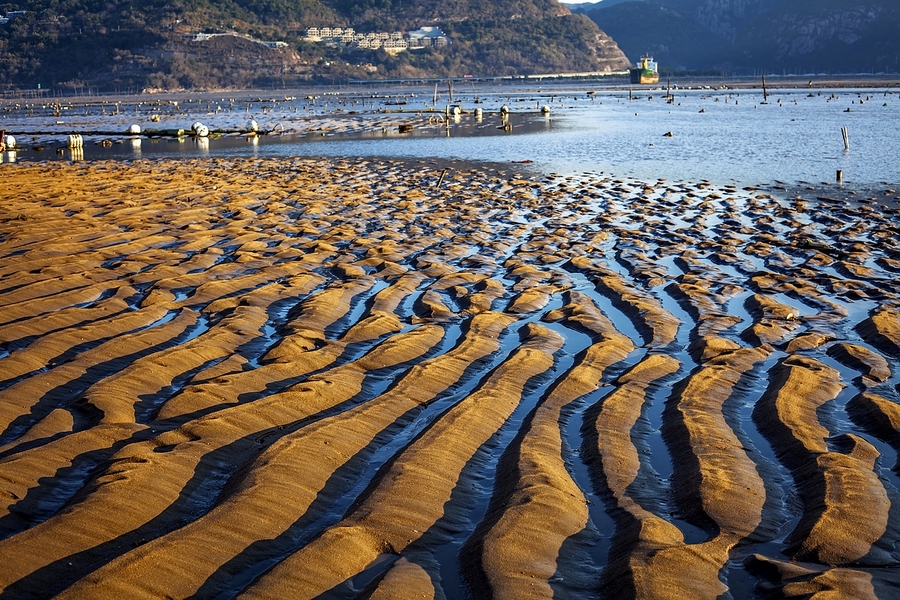 霞浦北歧滩涂