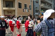 初识日本传统节日——三社祭