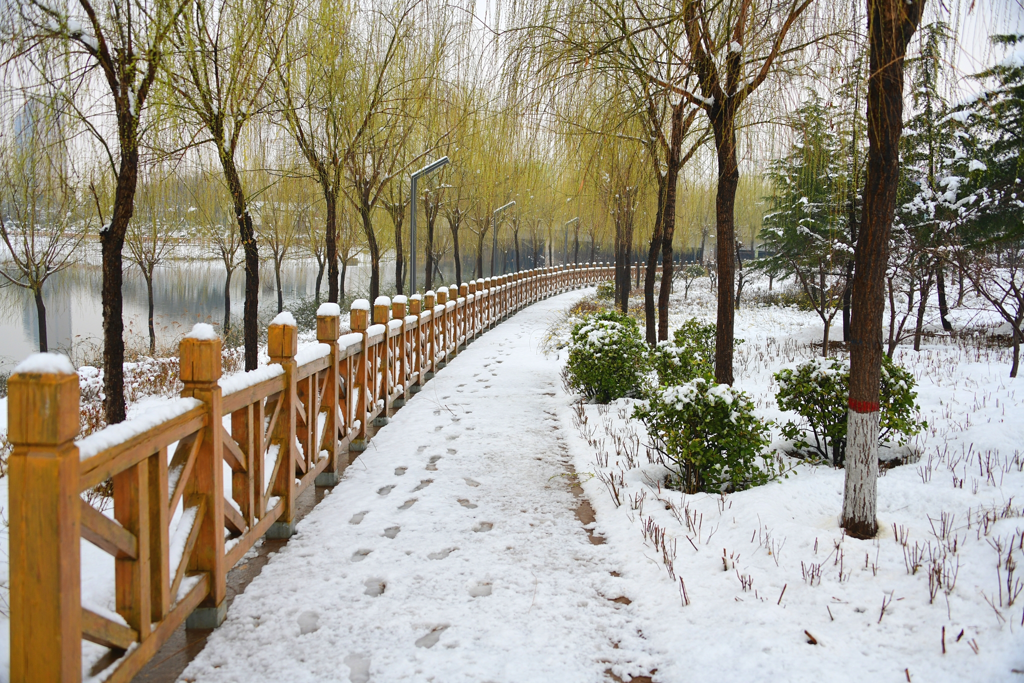 河北广平:喜降春雪