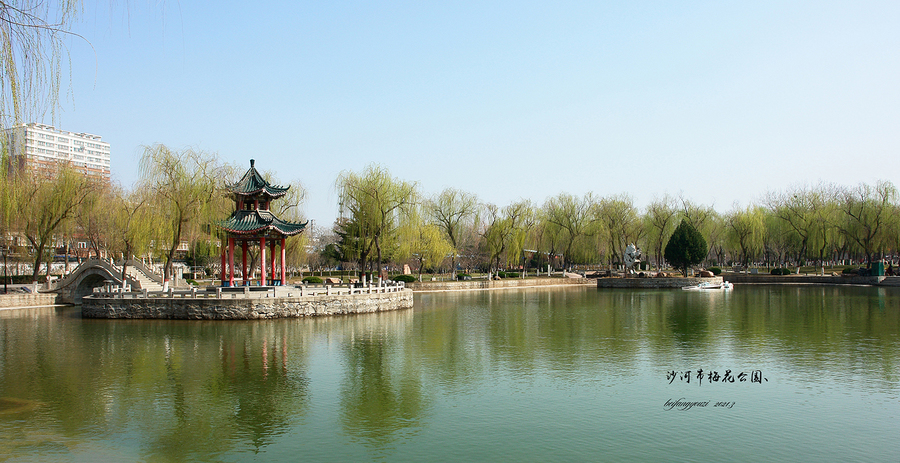 沙河梅花景区图片