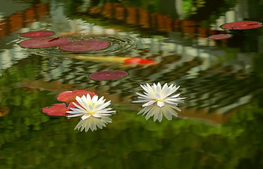 ˯