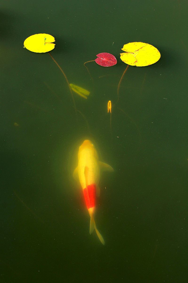 ˯