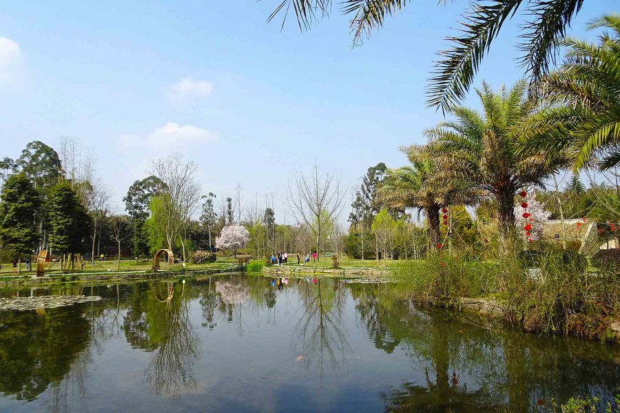 新津斑竹园湿地公园图片