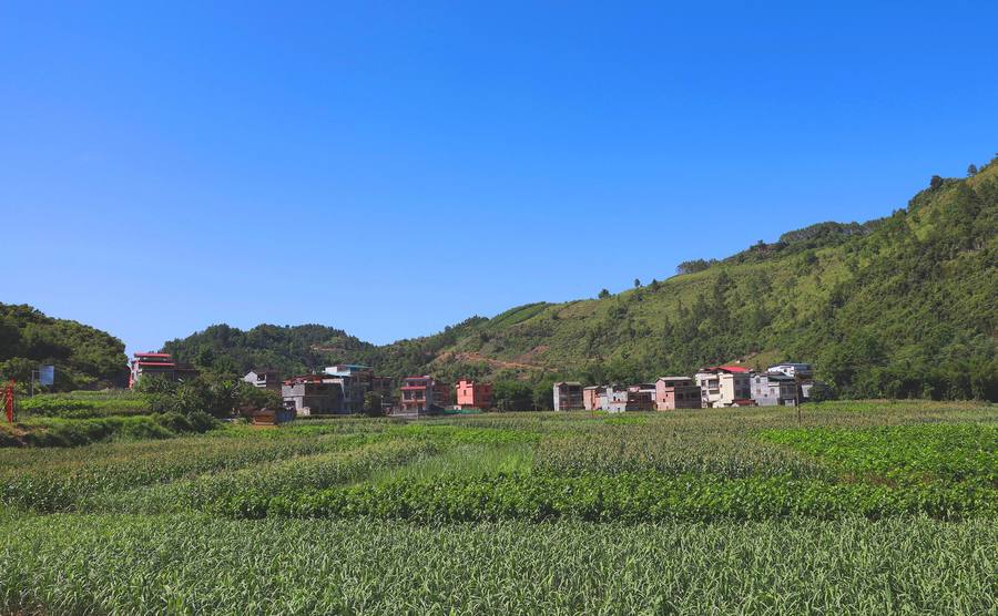 美麗鄉村小村人家