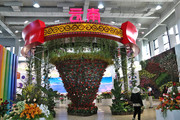 第十届中国花卉博览会——复兴馆C