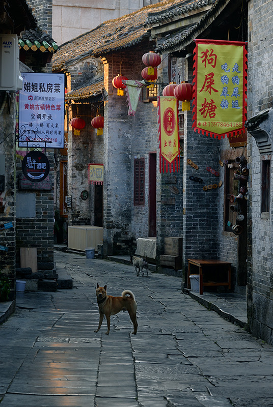 鿴