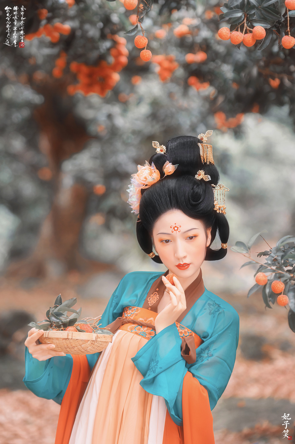 鿴