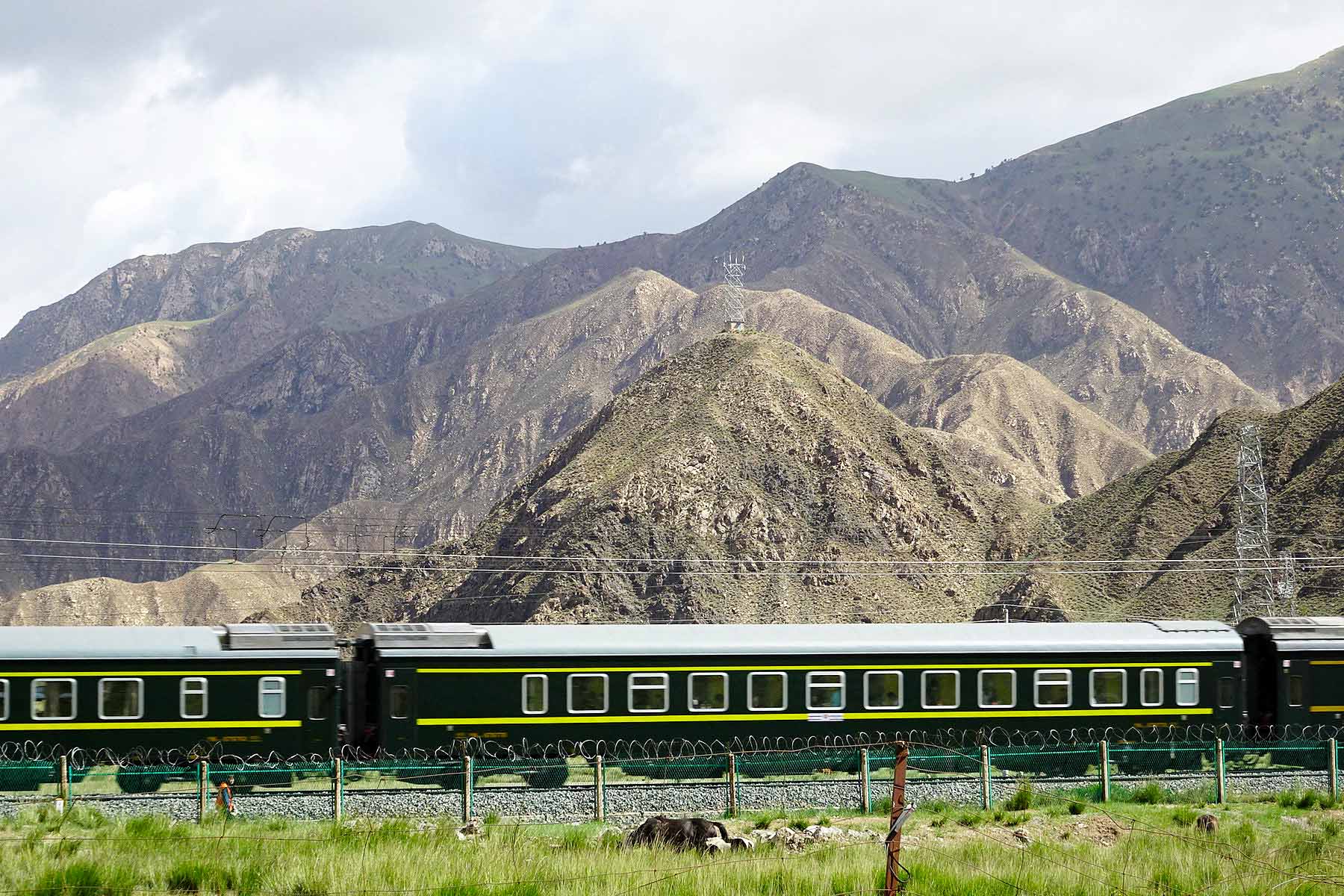 青藏铁路图片