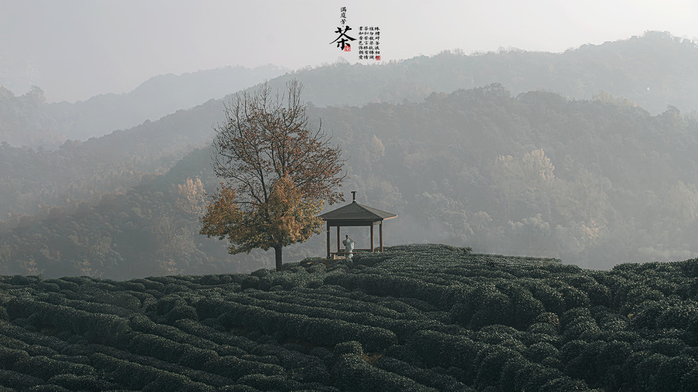 鿴