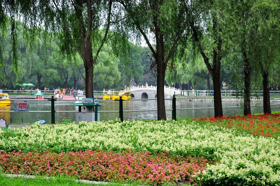 哈尔滨平房区平房公园图片
