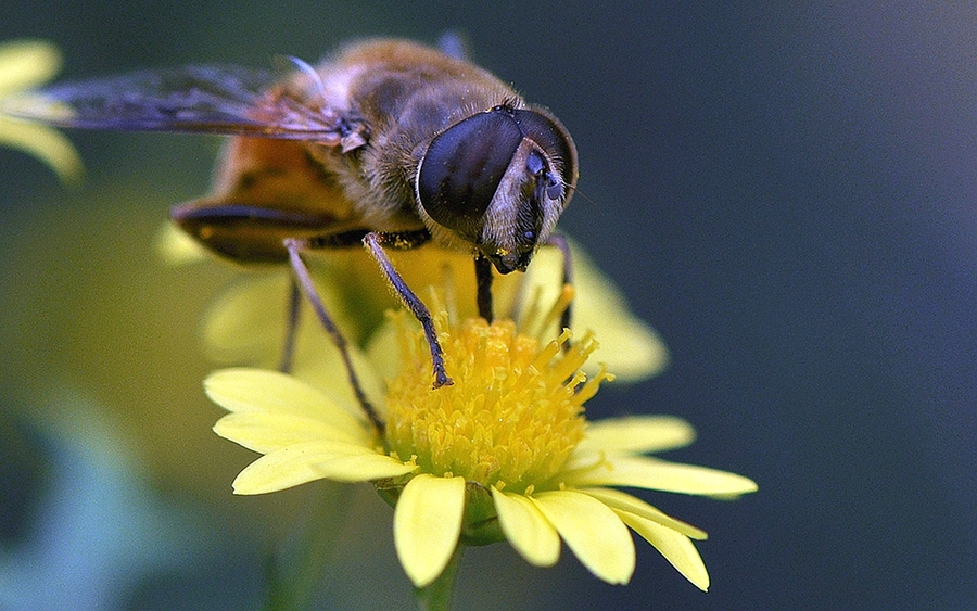 Ȥ