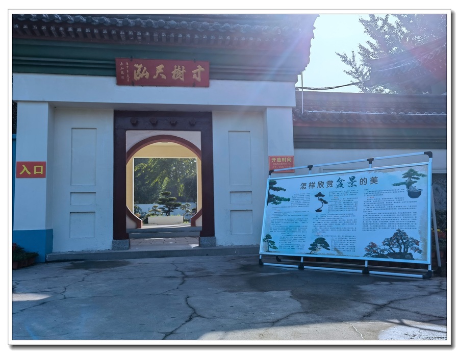 辰չ12