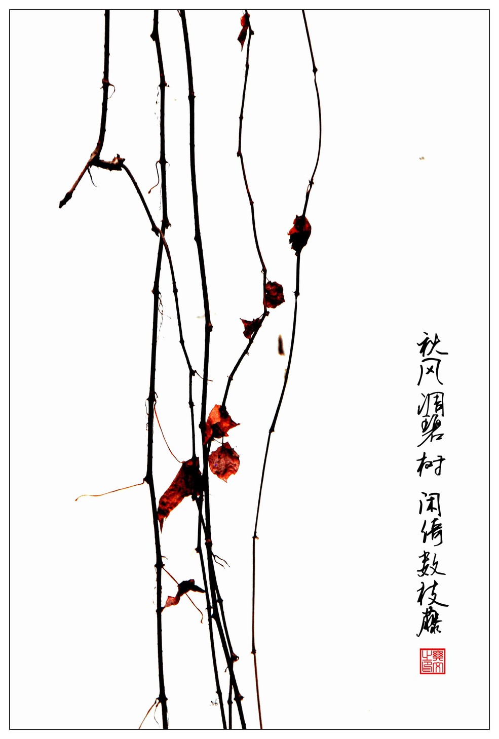 鿴