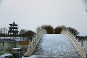 鹅城雪景（拍摄于2021.12.24日河北广平）