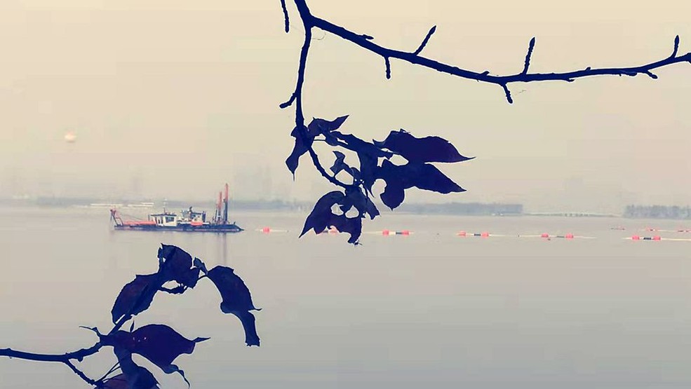 鿴