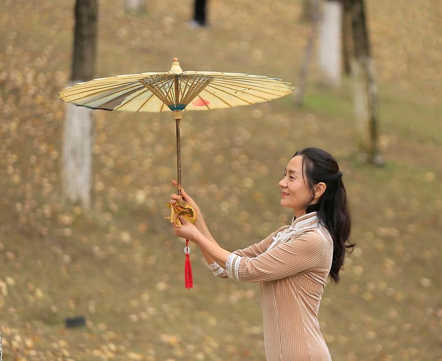 银杏树下的美女