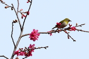 ʪģʮ