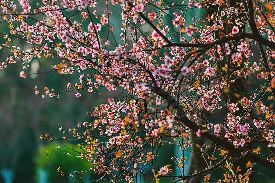 ¼죷
