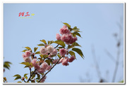 ӣ132022-0329