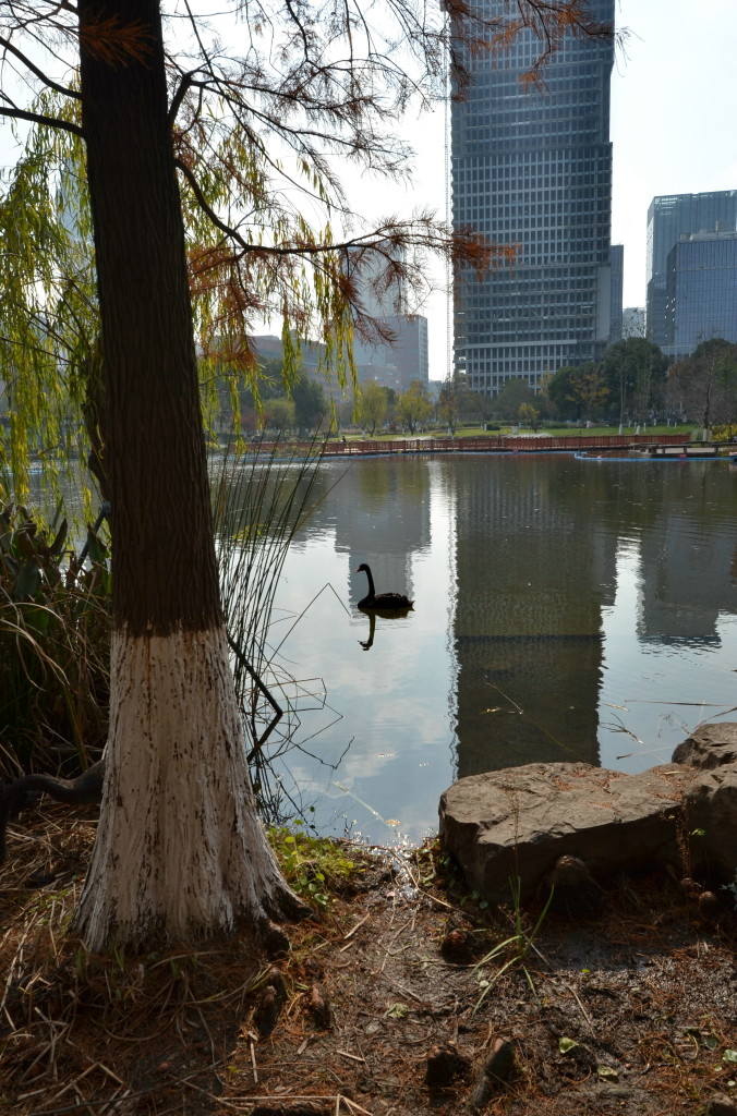 鿴