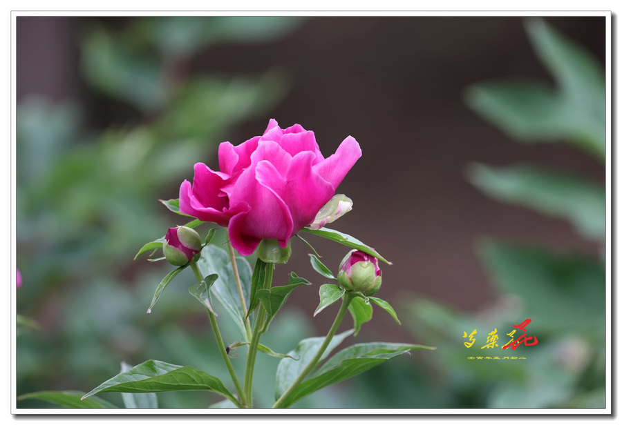 ҩ82022-0444