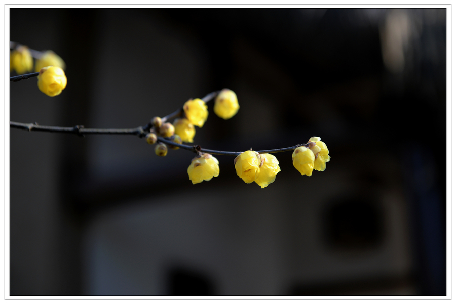 䣨2