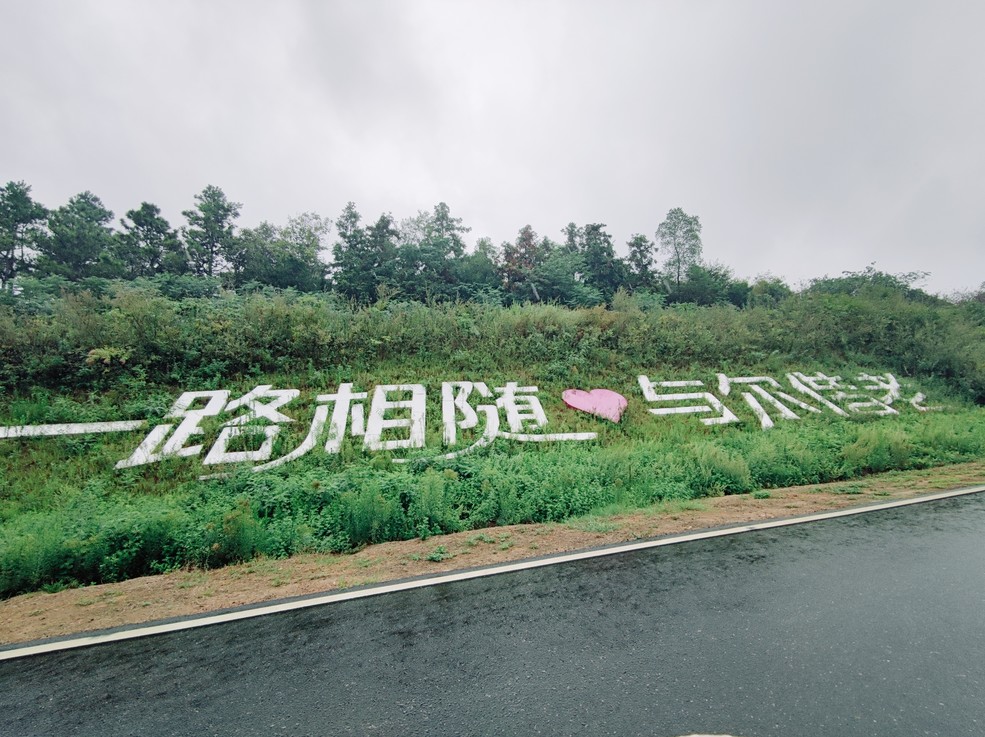 鿴