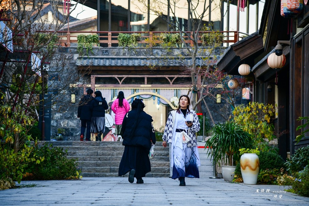 鿴
