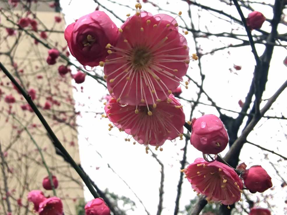 鿴