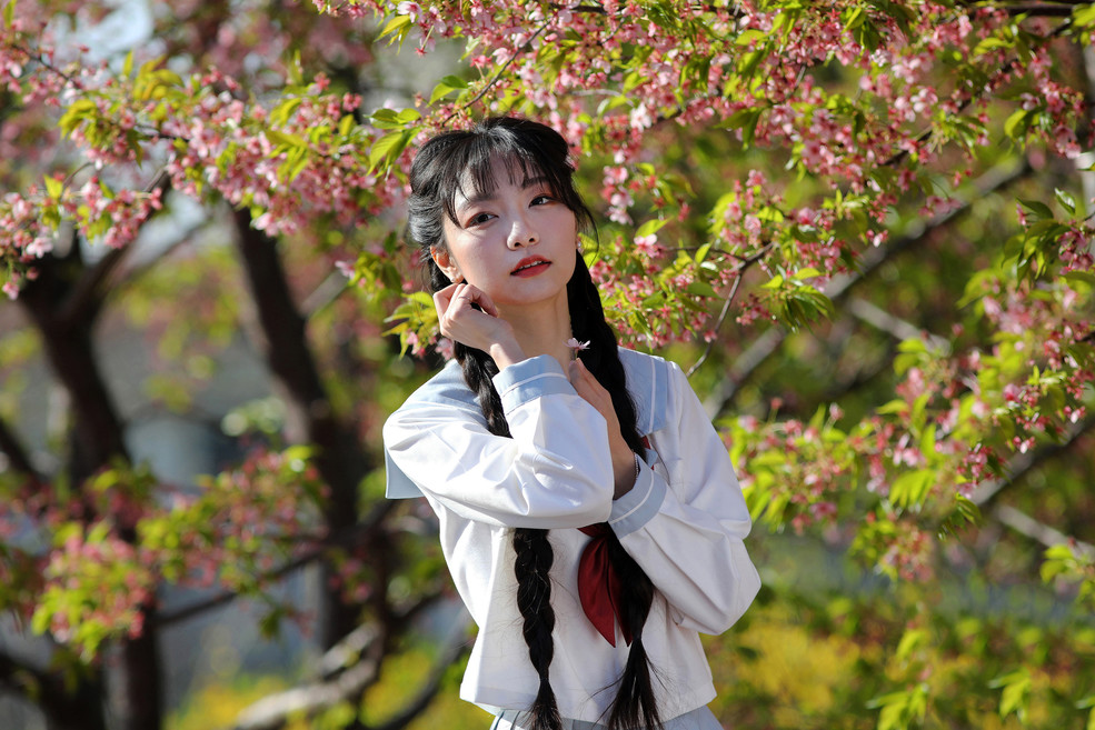 鿴