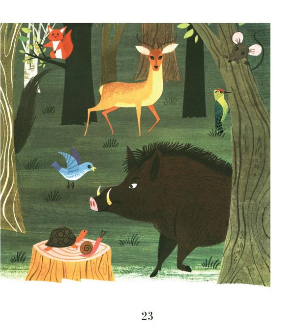 《幼儿情景认知图画书》之美丽的自然绘本连载