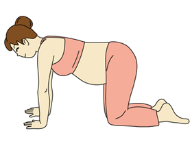 下一组 孕妇瑜伽-猫式伸展呼吸法