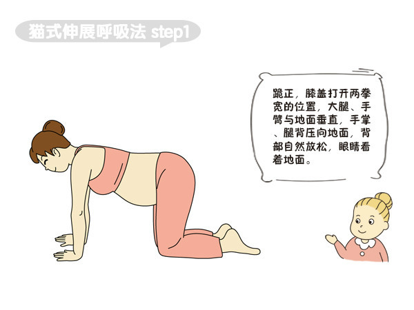 孕妇瑜伽-猫式伸展呼吸法