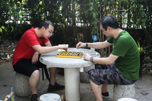两个人也能玩的暗棋对战——计客智能军棋