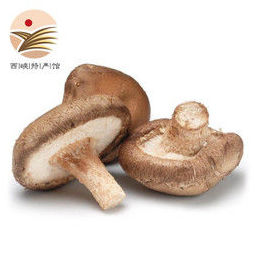 西峡湿香菇 鲜香菇 现摘新鲜菌菇 800g装 19.9元