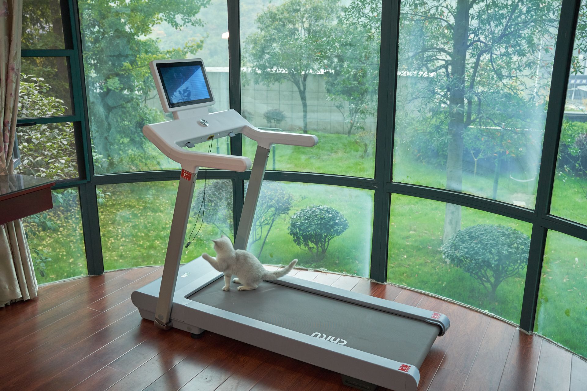 赤兔Air跑步机健身体验：居家跑步自由追剧，助我迈腿养成习惯