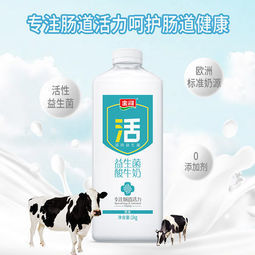 金河 活菌酸奶 1KG装