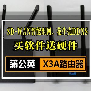 SD-WAN智能组网、花生壳DDNS：堪称买软件送硬件的蒲公英 X3A评测