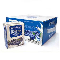 Fengxing milk 风行牛奶 蓝莓牛奶饮品 200ml*12盒