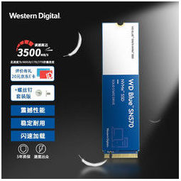 Western Digital 西部数据 WD Blue SN570 NVMe SSD固态硬盘 M.2接口（NVMe协议） SSD固态硬盘（+螺丝钉 套装版） 2TB