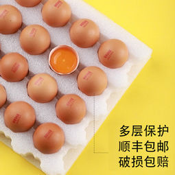 咯咯哒 可生吃醇香金鸡蛋 含叶黄素和omega