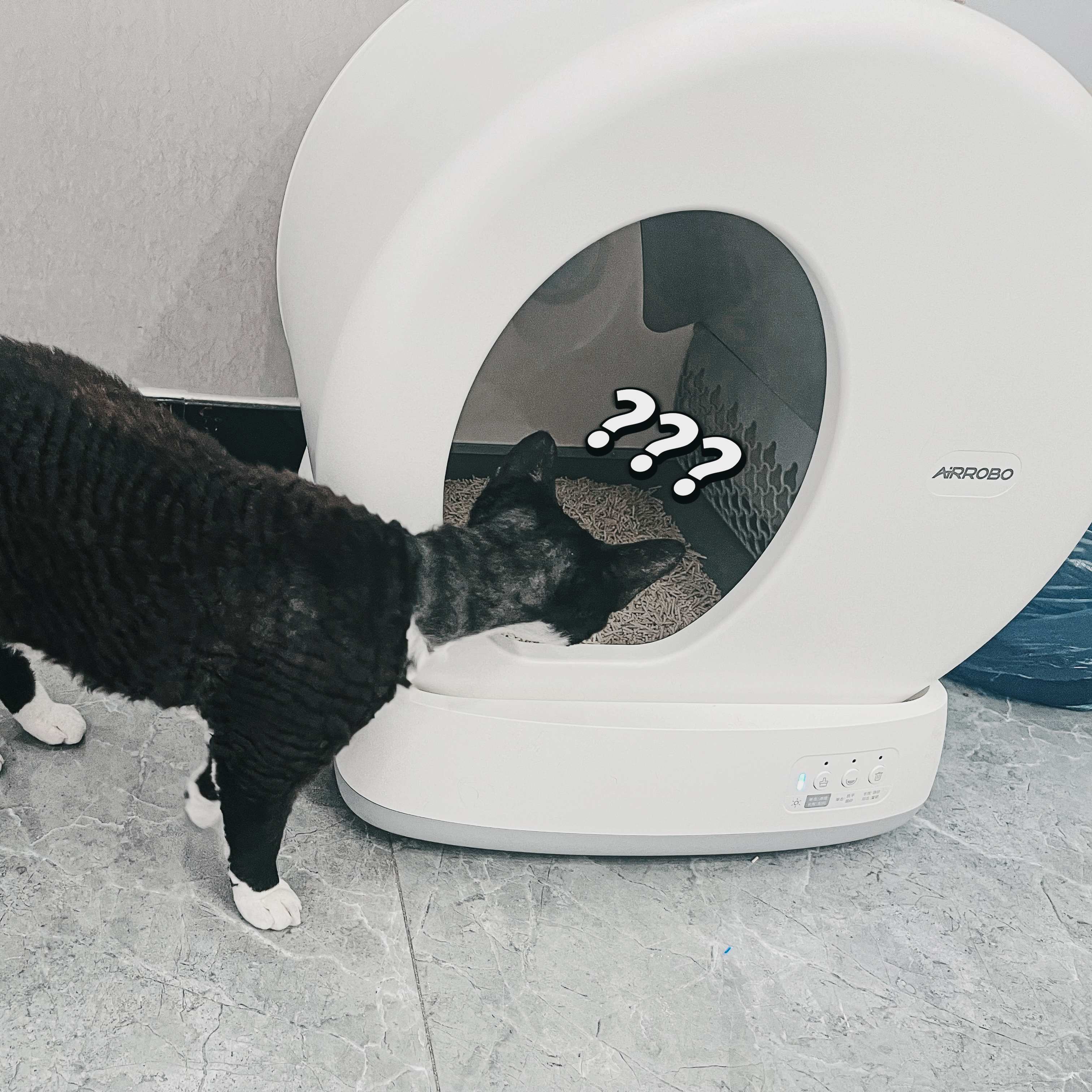 猫猫独自在家，也能安心出差——OPPO智能猫砂盆、摄像头套件体验