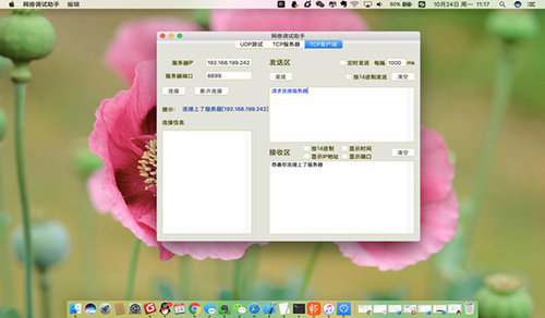 网络调试助手Mac版 1.0