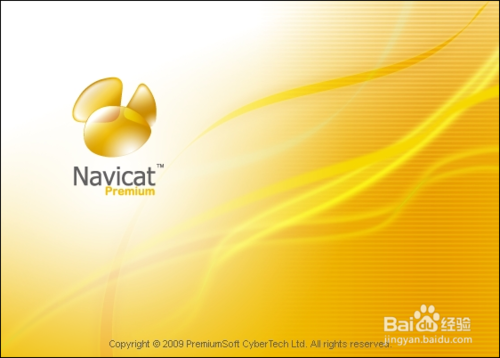 navicat8