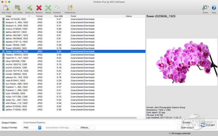NCH Pixillion Image Converter Plus 11.45 for apple instal