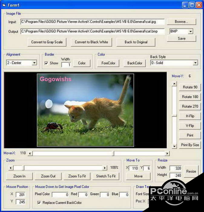 GOGO Picture Viewer Pro ActiveX Control 4.6