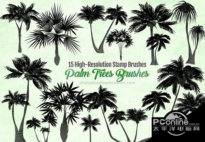 coconut tree photoshop brush free download