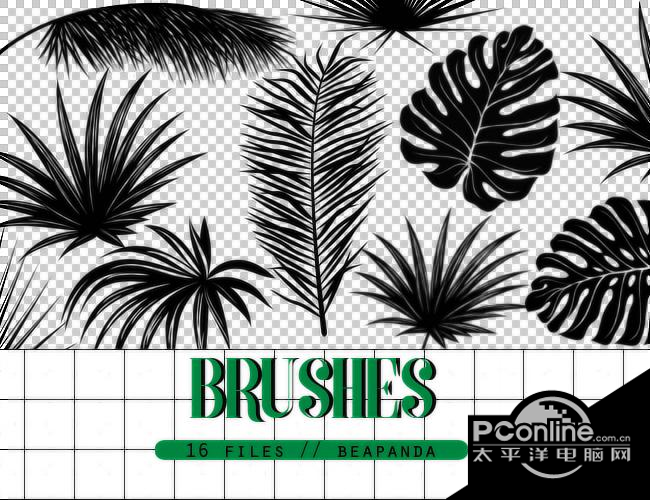 热带植物叶子图形Photoshop笔刷素材截图1