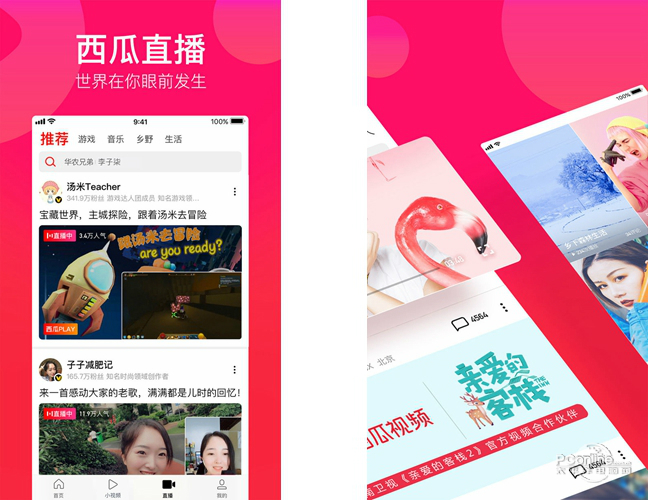 1551506102963.jpg 截图3