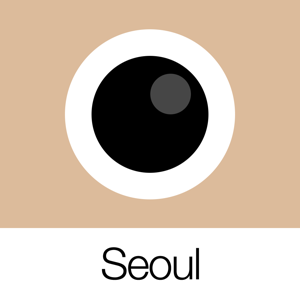 Analog Seoul (模拟首尔) 